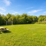 Grüner Rasenplatz mit Picknicktisch und Fußballtor hinter Bäumen.