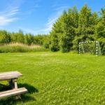 Grünes Feld mit Picknicktisch und Fußballtor. Hintergrund: Bäume und hohes Gras.