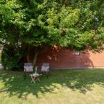 Garten mit Sitzgruppe unter Baum, Rasenfläche und Backsteinmauer im Hintergrund.