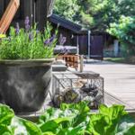 Terrasse mit Lavendel in Töpfen und Steinurne. Hintergrund: Holzhaus und grüne Vegetation.