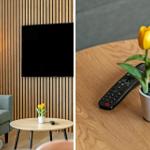 Ein Wohnzimmer mit Sofa, Fernseher und Tisch mit Tulpen. Fernbedienung auf Tisch.