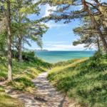 Path through trees to the sea with green vegetation and blue sky.
