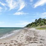 Beach with sand, waves, and green vegetation along the shore.