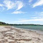 Beach with sand and seaweed, sea and forested coastline under blue sky.