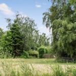 Grüner Garten mit Bäumen, Picknicktisch und Zaun. Hintergrund zeigt Gebäude und Himmel.