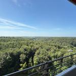 View from balcony over green forest landscape under blue sky