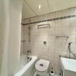 Bathroom with bathtub, shower, toilet, and washing machine.