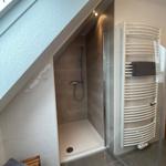 Dusche mit Duschbrause, Heizkörper und Dachfenster
