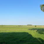 Weitläufiges Grasland unter blauem Himmel mit Bäumen und Zaun im Vordergrund.