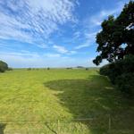 Weitläufiges Grünland unter blauem Himmel mit Bäumen und einem Zaun im Vordergrund.
