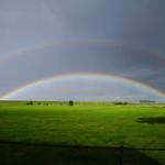 Ein Regenbogen spannt sich über ein grünes Feld unter bewölktem Himmel.