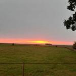 Sonnenuntergang über grünes Feld mit Baum und Zaun im Vordergrund.