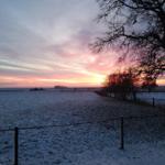 Schneebedecktes Feld bei Sonnenuntergang mit Bäumen und Zaun im Vordergrund.