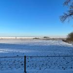 Schneebedecktes Feld unter klarem blauen Himmel mit Strommast und kahlen Bäumen
