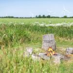 Ein Lagerfeuer mit Holzstümpfen im Gras, im Hintergrund Windräder.