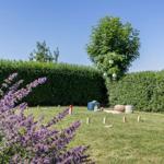Garten mit Lavendel, Rasenfläche und Bäumen. Spielplatz mit bunten Sitzgelegenheiten.