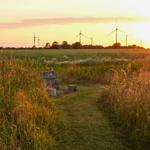Weg durch Grasland mit Feuerstelle und Windkraftanlagen im Sonnenuntergang.