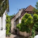 Enge Gasse mit traditionellen Häusern und grünen Bäumen unter blauem Himmel.