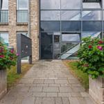 Paved path leads to glass-fronted entrance with balcony. Both sides bordered by rose hedges.