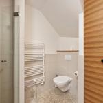 Shower with glass enclosure, toilet, and heater in a bathroom with wooden door.