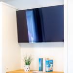 Flachbildfernseher an der Wand, darunter Pflanze und Bücher auf Holzregal.