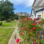 Garten mit roten Rosen und Lavendel vor einem Haus mit Terrasse.