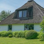 A house with thatched roof, green hedges, and a lawn in front.