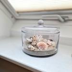 Glasbehälter mit Sand und Muscheln auf Fensterbank