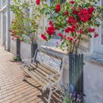 Eine Bank vor einem Haus mit roten Rosen und Lavendel.