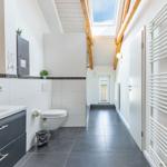 Badezimmer mit Toilette, Waschbecken und Dusche unter Holzbalkendecke mit Dachfenster.