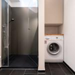 Dusche mit Glaswand, Waschmaschine und Toilette in einem Raum.