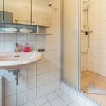 Badezimmer mit Waschbecken, Spiegelschrank und Dusche mit Handbrause.