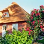 House with thatched roof, red bricks, and blooming roses in the front garden.