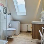 Badezimmer mit Dusche, WC, Waschmaschine und Dachfenster.