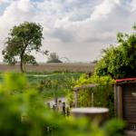 Gartenblick