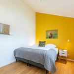 Schlafzimmer mit gelber Wand, Bett, Nachttisch und Fernseher an der Wand.