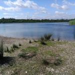 Lake shore with gravel beach, grasses, and trees in the background, wind turbines are visible.