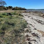 Beach with sand and grass, view of the sea and distant horizon.