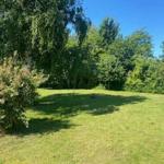 Green lawn area with trees and shrubs under blue sky.
