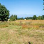 Green field with trees and view of the sea.