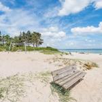 Wooden bench on sandy beach with view of sea and trees