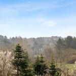Weitläufiger Blick auf Wald mit blauem Himmel und blühenden Bäumen im Vordergrund.