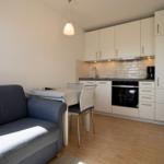 Living and kitchen area with sofa, table, white cabinets, and wooden floor.