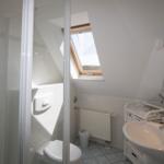 Bathroom with shower, toilet, sink, and skylight.