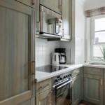 Kitchen with gray cabinets, stove, microwave, and window with plant.