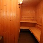Sauna with wooden walls, benches, and stone container