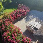 Terrasse mit Holztisch, Stühlen und blühenden Rosenhecken. Hintergrund: grüner Rasen und Bäume.