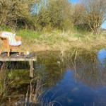 Lieblingsplatz am Gartenteich