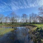 Ein Teich mit Gras und Bäumen unter blauem Himmel mit Wolken.
