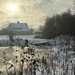 Schneebedecktes Haus mit Eisfläche und Bäumen im Winter